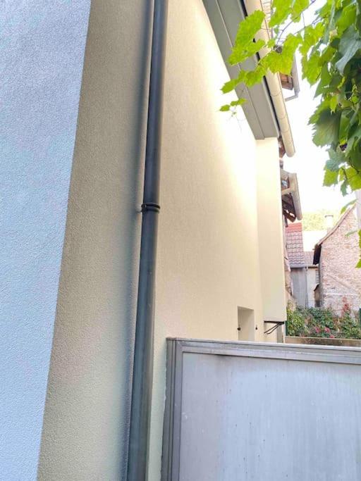 Maison Alsacienne & Moderne En Hypercentre Colmar
