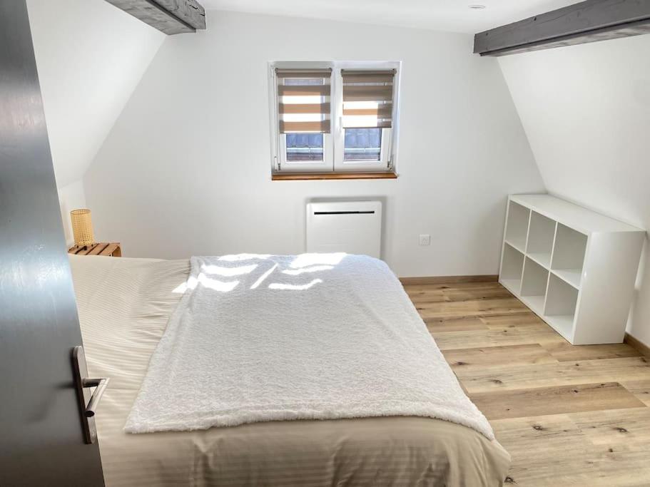 Hébergement de vacances Maison Alsacienne & Moderne En Hypercentre *